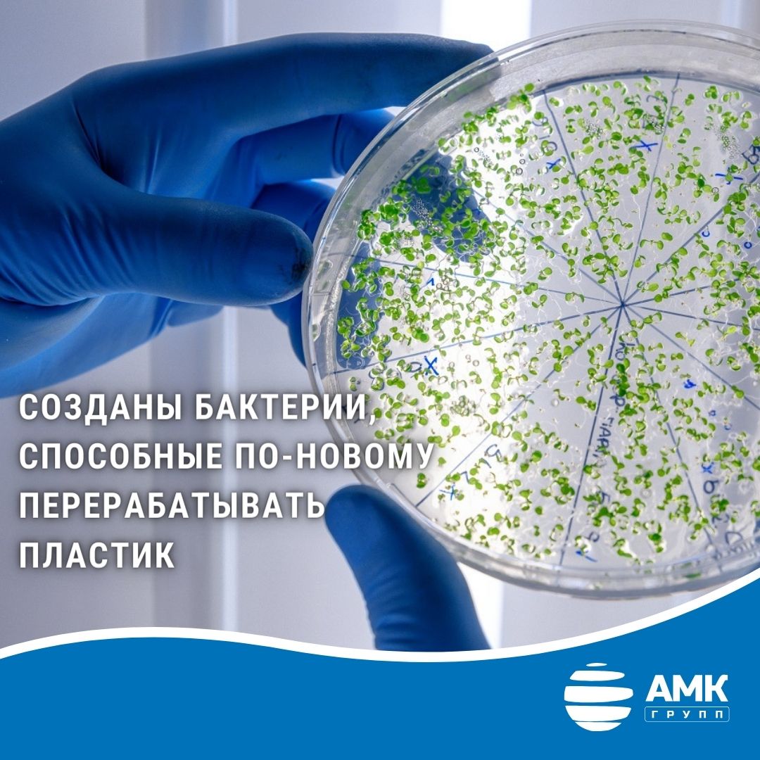 Биоразлагаемый пластик вышел на новый уровень?! Биоразлагаемый пластик вышел на новый уровень?!